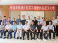 中國造紙協(xié)會竹漿工作委員會成立大會在成都召開