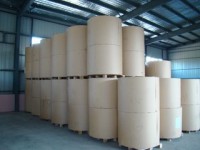 紙業巨頭紛紛“轉戰”湖北