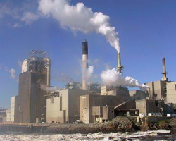 生活用紙中小企業(yè)的三個需要