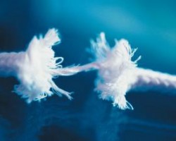 《全球造紙工業報告》：全球造紙業轉型危與機