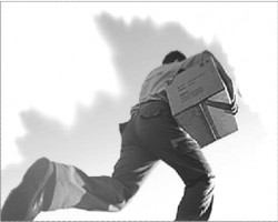 “雙11”再掀快遞狂潮 綠色包裝已成大勢所趨