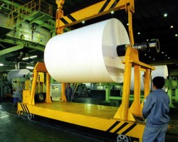 印尼RAPP公司造紙產量停滯不前