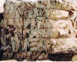 包裝紙箱生產(chǎn)達(dá)到高峰 廢紙回收利用行業(yè)也掀起浪潮