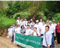 APP領銜造紙業的綠色改變