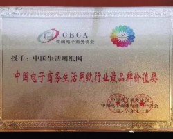 熱烈祝賀中國生活用紙網被授予“中國電子商務生活用紙行業具品牌價值獎”
