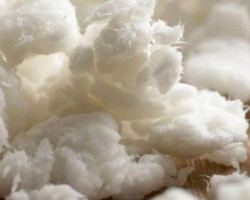 目前市場(chǎng)上哪一種紙漿賺錢?