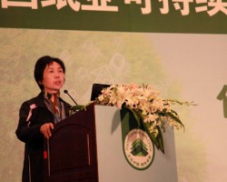 江曼霞：我對中國衛生紙市場持較樂觀態度