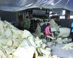 安徽省取締30多家造紙小企業(yè)