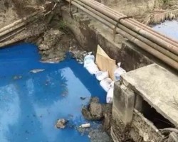 紙品廠偷排污水被舉報