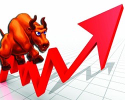 尼日利亞包裝行業進入快速發展期