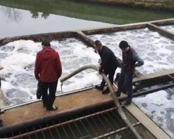 某造紙廠頂風(fēng)作案被查封