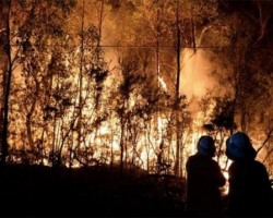 紙漿紙張價格或上漲