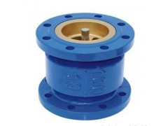 HC41X消聲止回閥