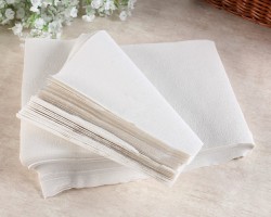 平板衛(wèi)生紙加工設(shè)備都有什么