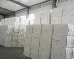 亞洲紙漿參加世界經(jīng)濟(jì)論壇