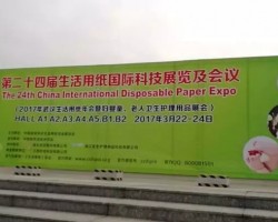 CIDPEX2017武漢生活用紙年會開幕