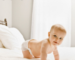 山東淄博紙尿褲抽檢，過半產品不合格！