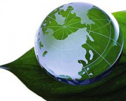 循環經濟助力造紙產業轉型