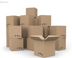 新型環(huán)?？爝f包裝箱開始運行