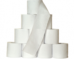 衛生紙的原材料是什么