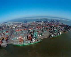 2017年天津港紙尿褲進口量下降，日本仍居