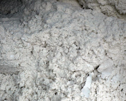 我國(guó)已成為世界上大的原生紙漿進(jìn)口國(guó)