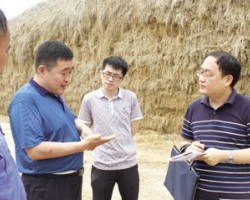 為秸稈找到佳去處