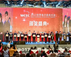 熱烈祝賀中國生活用紙網榮獲“2017中國電子商務行業百強”獎