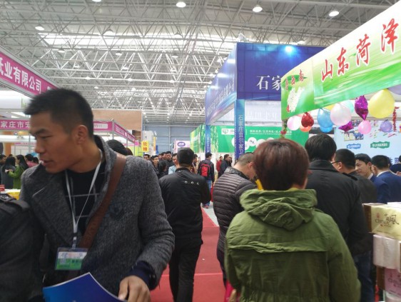 參展企業的展位概況