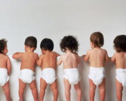 紙尿褲行業的春天