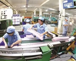 打造千億級生活用紙航母 3年后這個“中華紙都”紙品產能將突破350萬噸