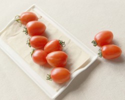 本色紙和普通白色衛生紙的區別是什么？