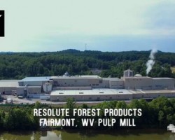 全球第三大再生紙漿廠被紙業巨頭玖龍收購！