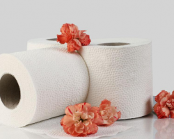 衛生紙的使用安全性主要看兩個方面