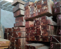 11月1日起，中國木材產(chǎn)品進口關稅降至5.4%