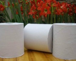 衛生紙安全生產重要