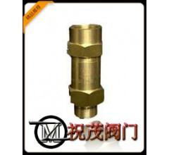 SFA-22C300T冷凍機安全閥