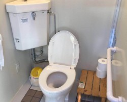 上完廁所后，衛生紙是選擇“沖走”還是“扔紙簍”，好多人都錯了!