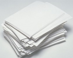 福建省批綠色制造名單公布 聯盛（龍海）、爹地寶貝入選