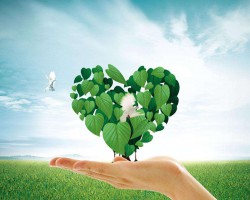 唐山市對摸排出的“散亂污”企業一律先停后治