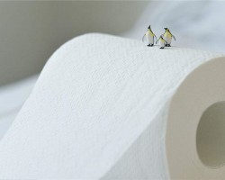 購買衛(wèi)生紙應該避免那些誤區(qū)！