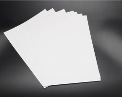 晨鳴集團蟬聯造紙企業20強榜首