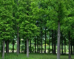 重污染天企業(yè)未應(yīng)急減排 將罰違法生產(chǎn)期間30~50%營收