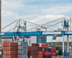 2019年三季度美國纖維出口市場情況簡述