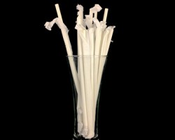 斯道拉恩索和Sulapac推出新型環保吸管