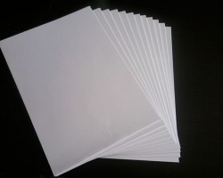 玖龍紙業(yè)張茵拯救了美國一個(gè)小鎮(zhèn)！