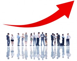 造紙上市公司股價(jià)異動 行業(yè)龍頭股價(jià)創(chuàng)階段新高