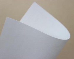 晨鳴、景興、山鷹等龍頭紙企開機(jī)率逐日提升