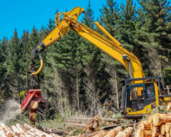 加拿大森林部門發(fā)出警告：制槳造紙用木片短缺
