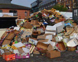 7月廢紙坐起了“過山車” 原紙市場(chǎng)跟隨聯(lián)動(dòng)